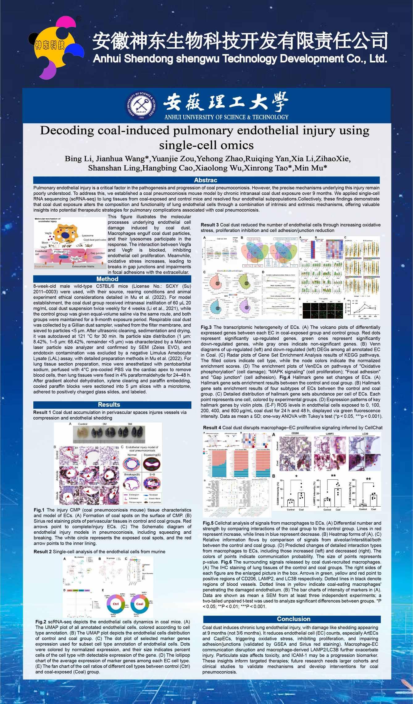 Decoding coal-induced pulmonary endothelial injury using single-cell omics